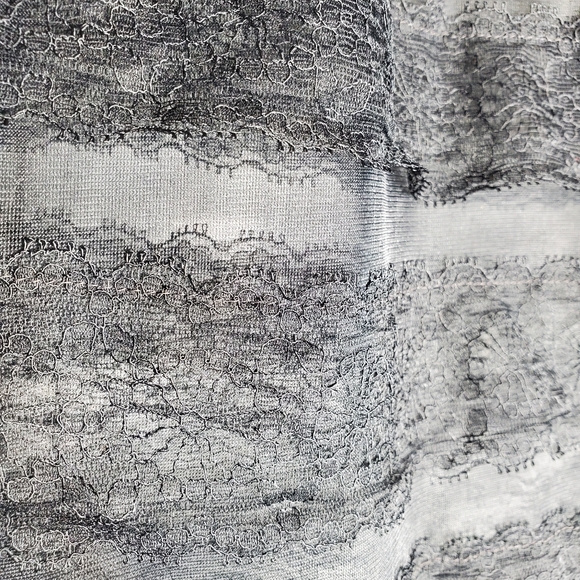 Vintage 50s 60s Van Raalte Half Slip Skirt Sheer Mesh Floral Lace Black XS Small - Picture 4 of 9